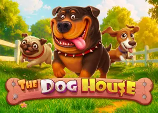 สล็อต 1688 เว็บตรง The Dog House ทดลองเล่นฟรี
